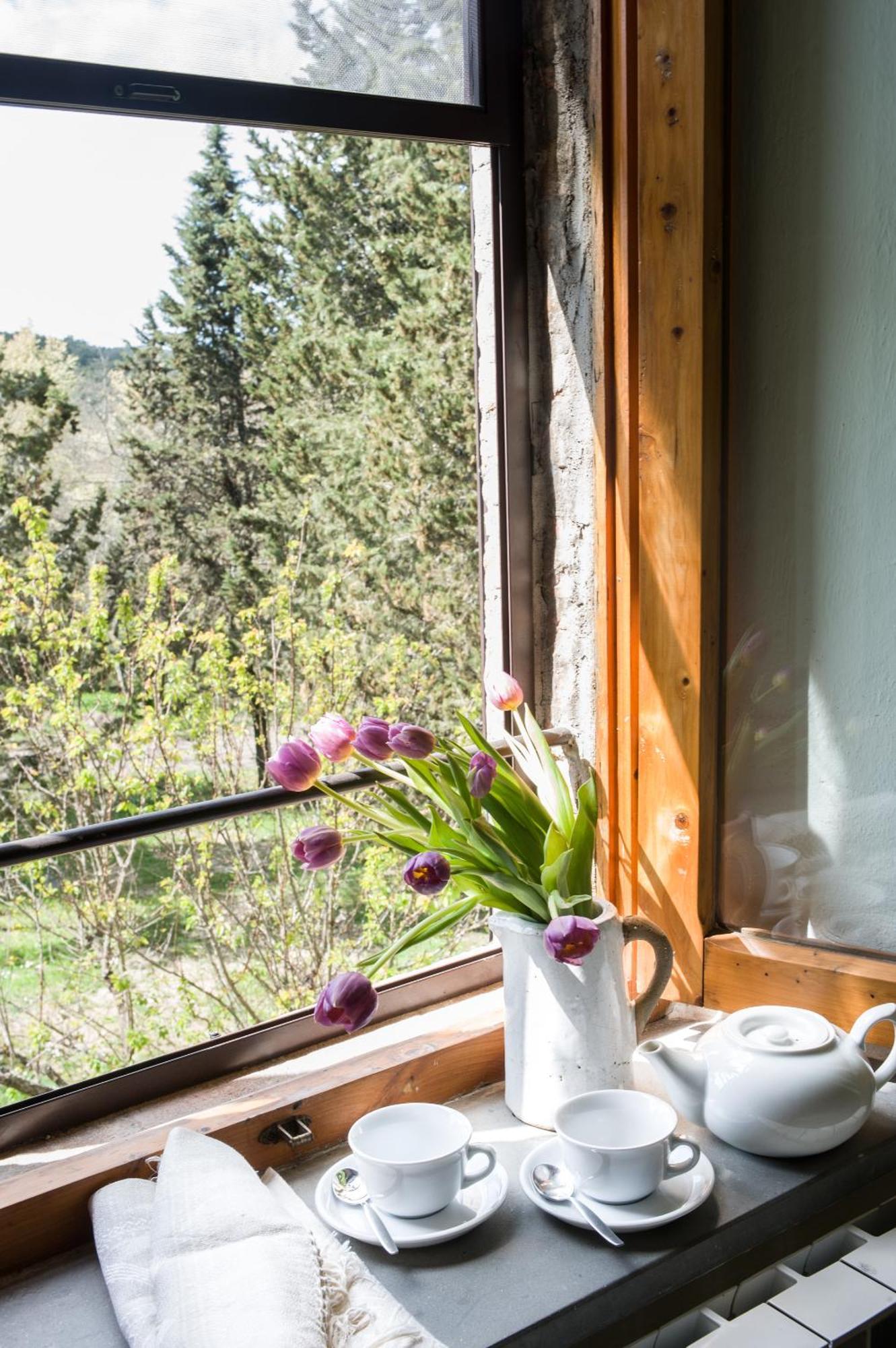 I Pianelli Villa Murlo Exteriör bild